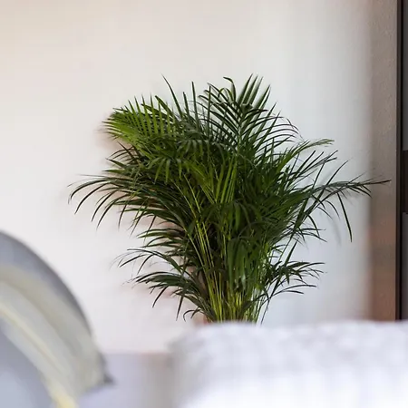 Apartman Stilvolles Inmitten Der Altstadt Duisburg